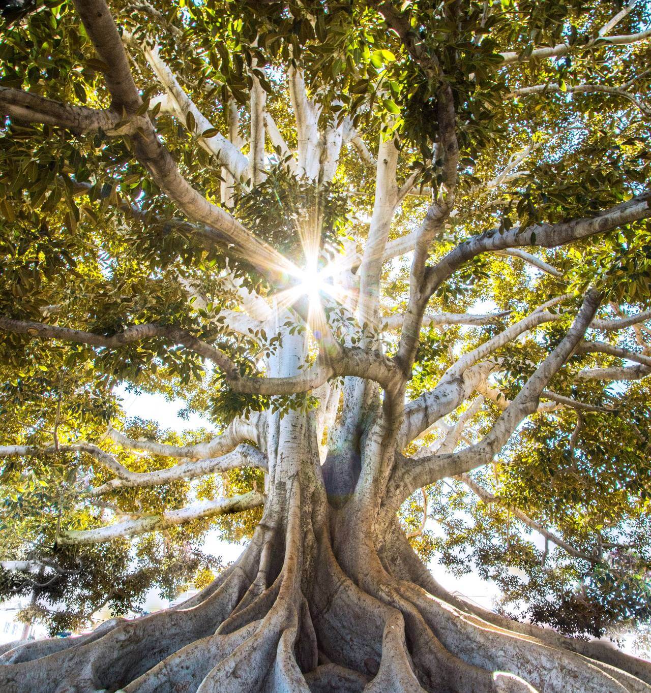 jeremy-bishop-EwKXn5CapA4-unsplash